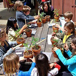 students around a picnic table planting seedlings in pots